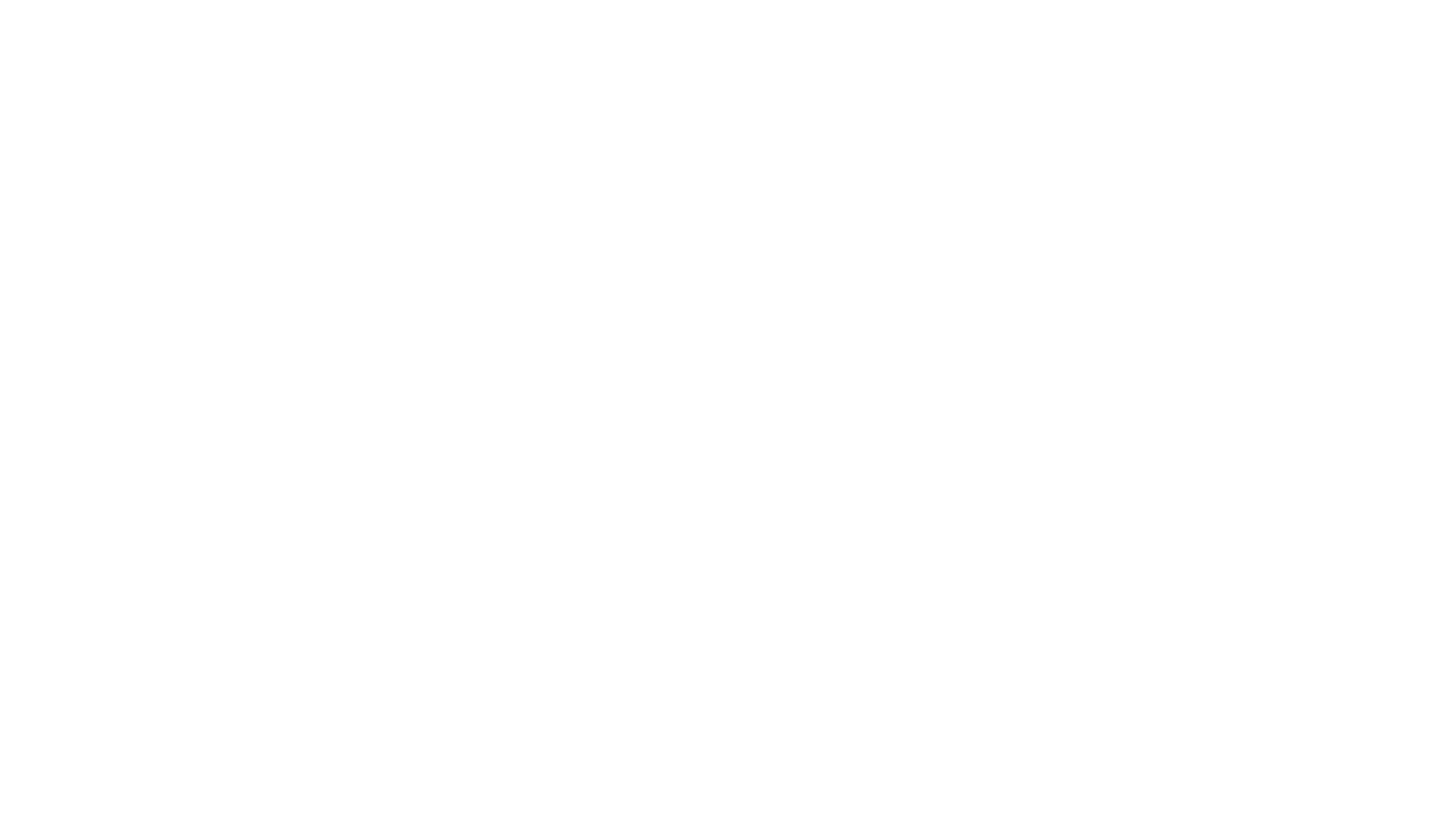 Partner logo 11