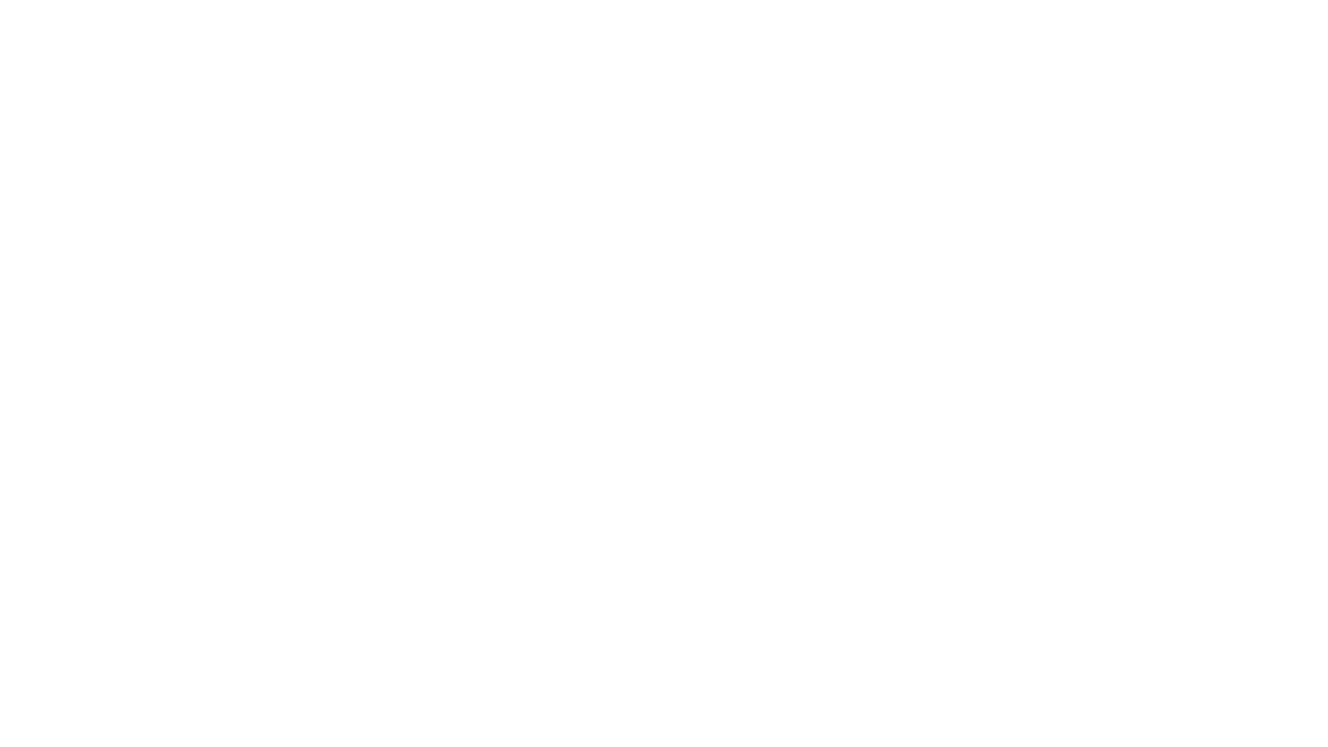Partner logo 8