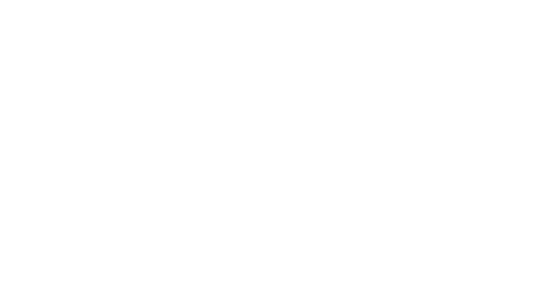 Partner logo 5